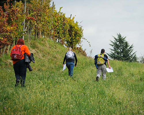 Team building - Orienteering