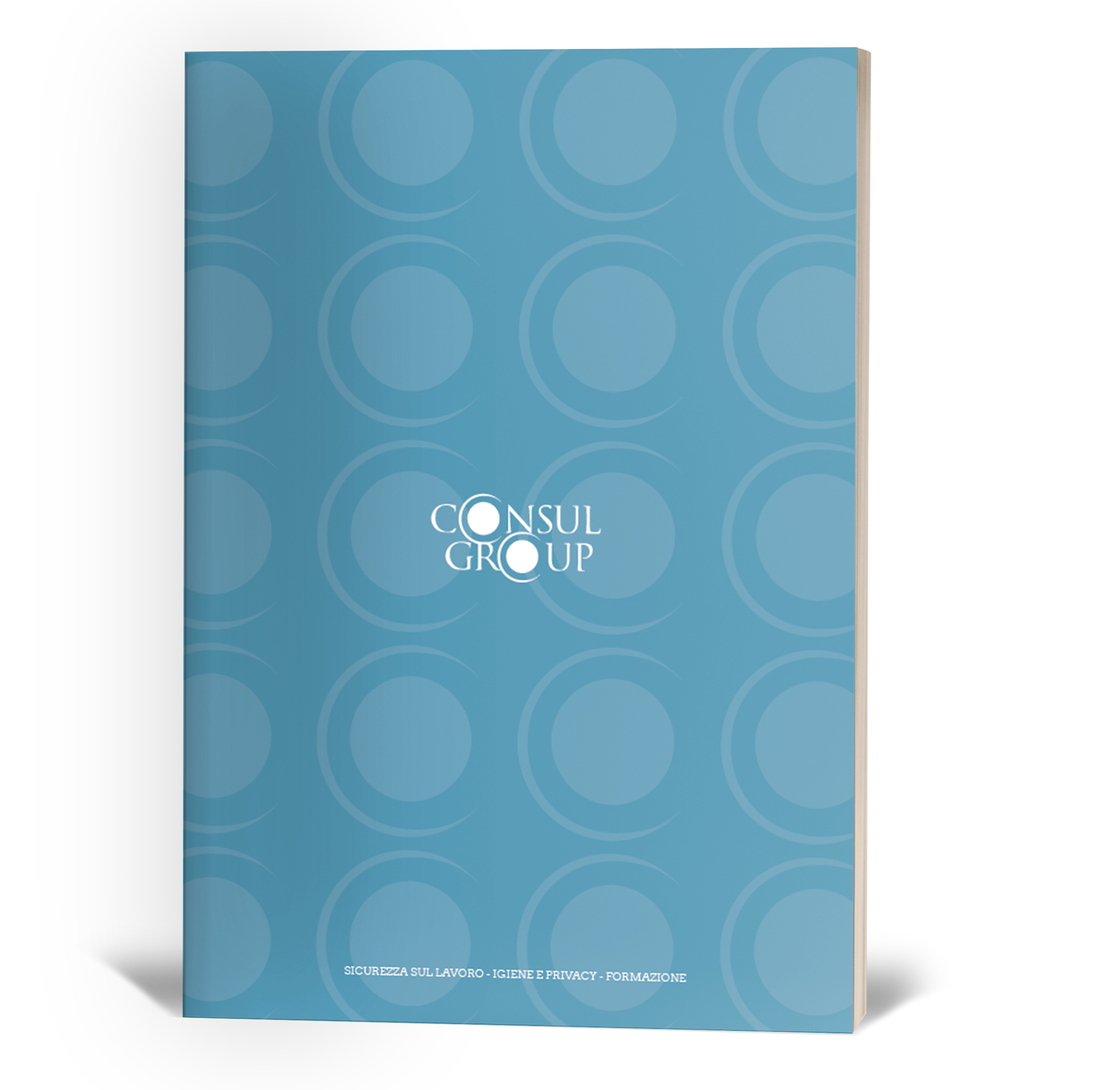Brochure ConsulGroup
