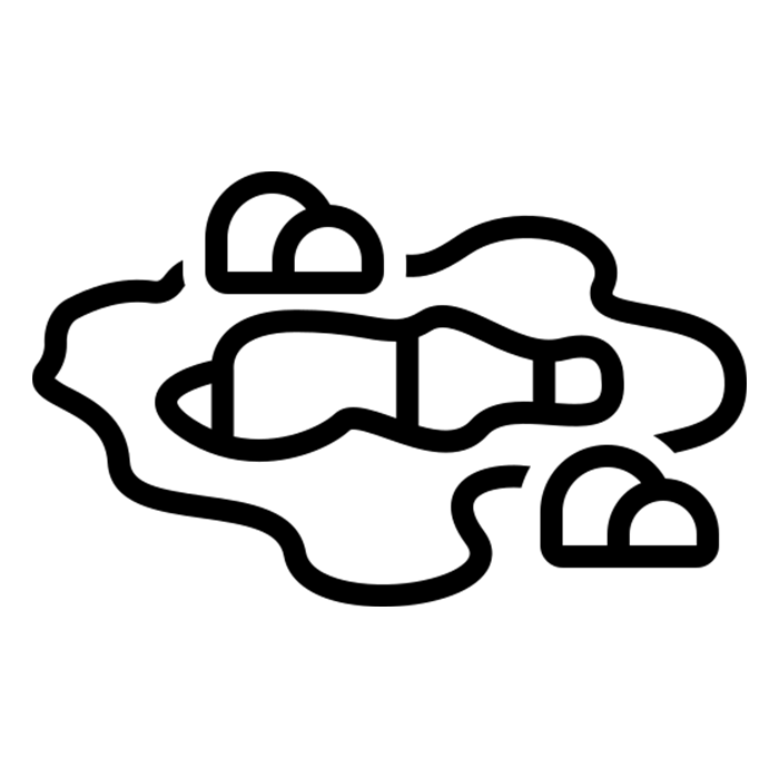 ACF